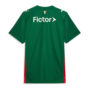 Camisa Palmeiras HOME 2026 Torcedor Masculina