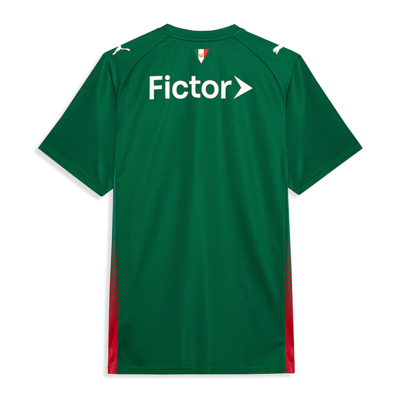 Camisa Palmeiras HOME 2026 Torcedor Masculina