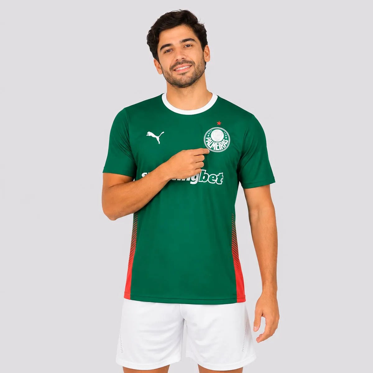 Camisa Palmeiras HOME 2026 Torcedor Masculina