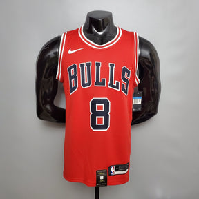 Regata Chicago Bulls Icon Edition 17/23