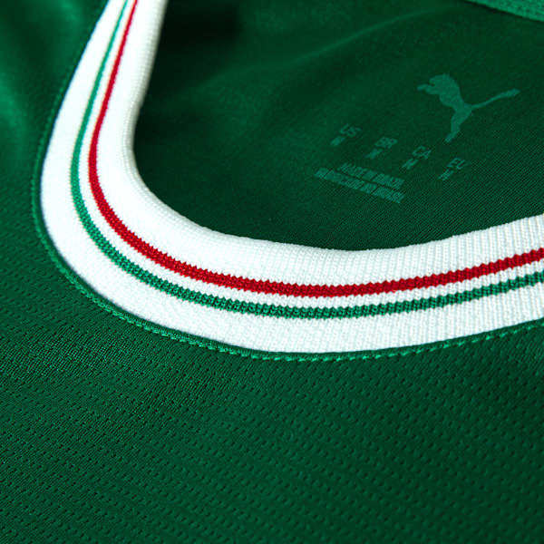 Camisa Palmeiras HOME 2026 Torcedor Masculina