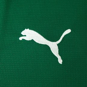 Camisa Palmeiras HOME 2026 Torcedor Masculina