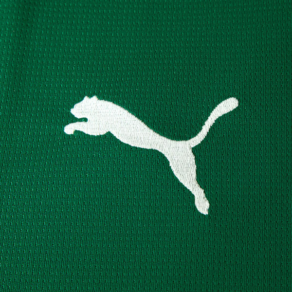 Camisa Palmeiras HOME 2026 Torcedor Masculina