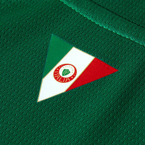 Camisa Palmeiras HOME 2026 Torcedor Masculina